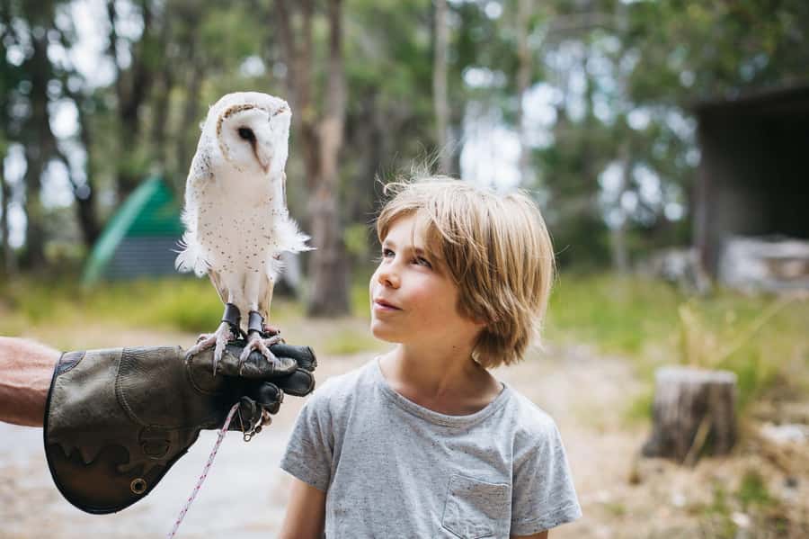 Margaret River: Birds of Prey Encounter and Forest Walk - Following the 1km forest walk