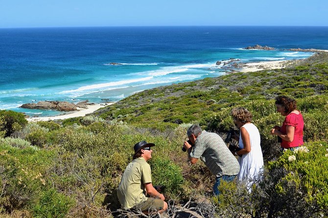 Margaret River Coastal and Wildlife Eco Trip from Busselton or Dunsborough - Key points to know before booking