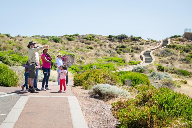 Margaret River Coastal and Wildlife Eco Trip from Busselton or Dunsborough - A fast route from Geographe Bay to Cape Naturaliste