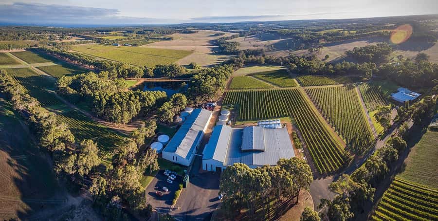 Margaret River: Full-Day Wine Tour - Why this tour works for a first day in Margaret River
