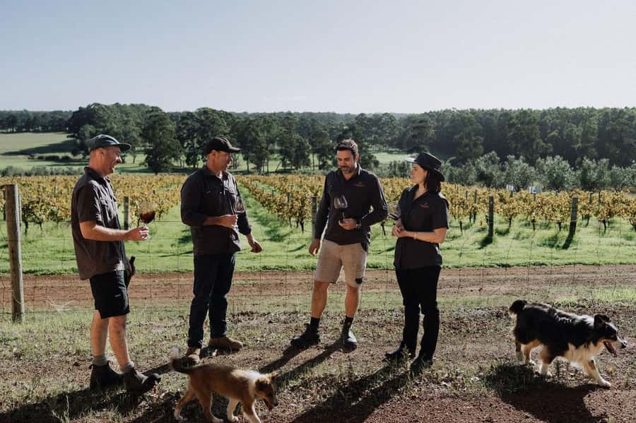 Margaret River: Full-Day Wine Tour - Finish at The Servo Taphouse or Wild Hop Brewing