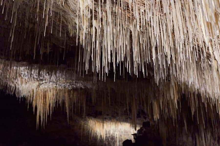Margaret River: Lake Cave Fully-Guided Tour - Lake Cave compared with other local choices
