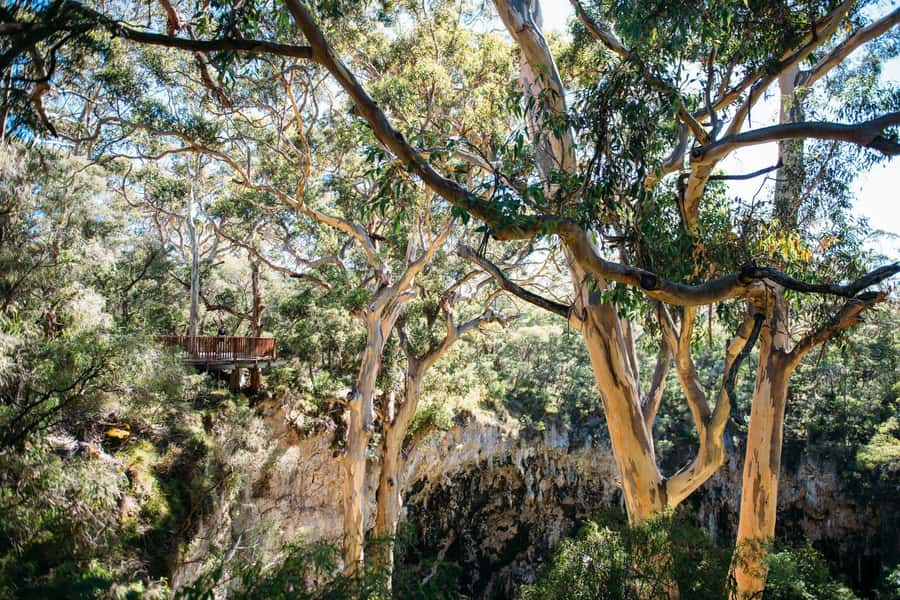 Margaret River: Lake Cave Fully-Guided Tour - The staircase through the ancient sinkhole