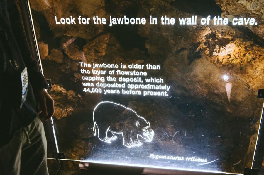 Margaret River: Self-Guided Audio Tour of Mammoth Cave - What the self-guided format means for your visit