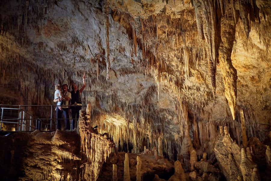 Margaret River: Self-Guided Audio Tour of Mammoth Cave - Walking through bushland to the cave entrance