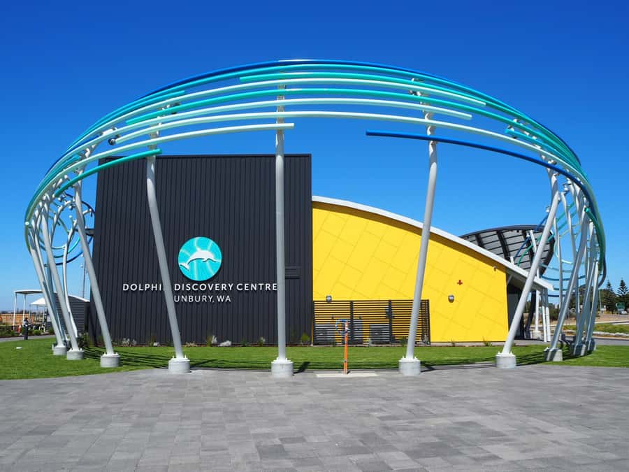 Marine Discovery Centre - Start at the Dolphin Discovery Centre in Bunbury