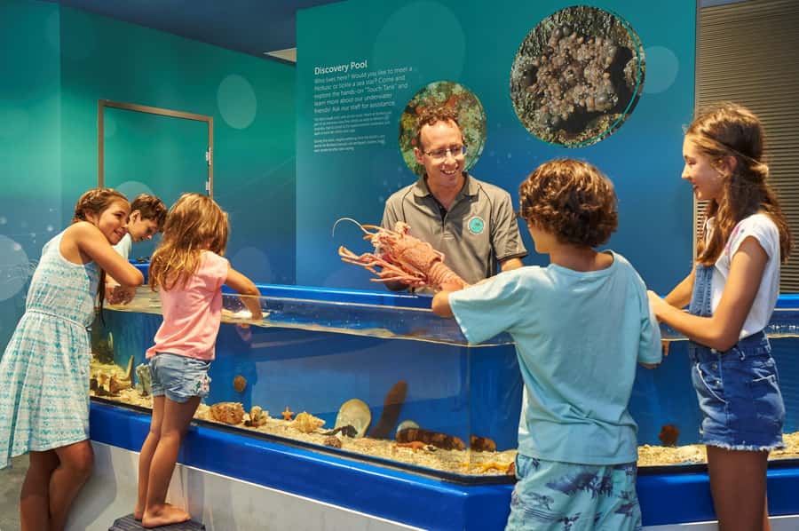 Marine Discovery Centre - Meet the sharks, octopus, coral, and smaller marine life