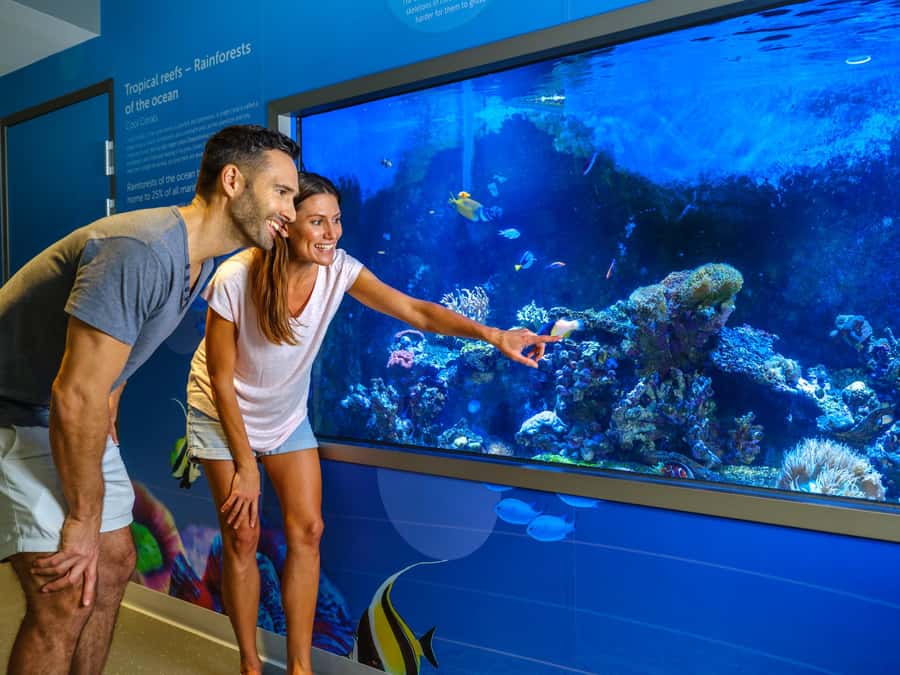Marine Discovery Centre - Make time for feeding programs and activity centres
