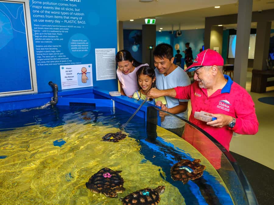 Marine Discovery Centre - Learn the story behind the dolphins
