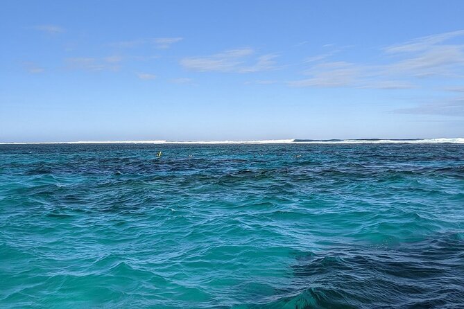 Marine Eco Safari - Swim with Manta Rays - A final snorkel keeps the return trip active