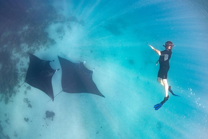 Marine Eco Safari - Swim with Manta Rays - The turtle sanctuary slows the pace