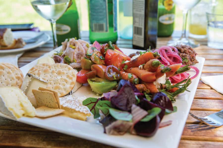 McLaren Vale North: Hop-On Hop-Off Tour - Choosing from more than 15 wineries