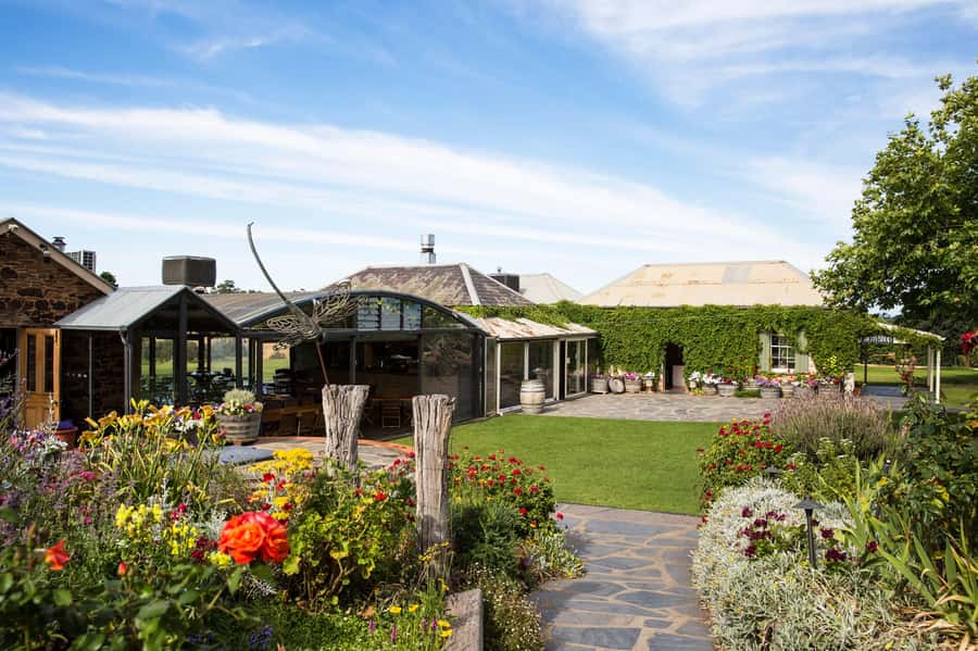 McLaren Vale North: Hop-On Hop-Off Tour - The views between the cellar doors