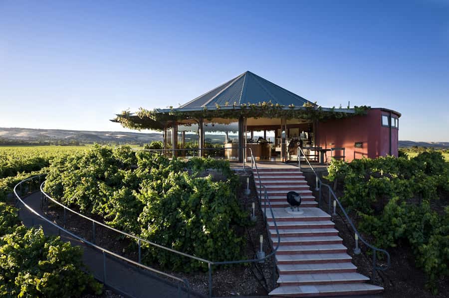 McLaren Vale North: Hop-On Hop-Off Tour - What the guides add to the day