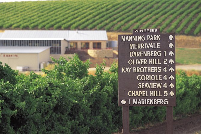 McLaren Vale Shiraz Trail Cycling Tour from Adelaide - Why the Shiraz Trail works so well for a wine day