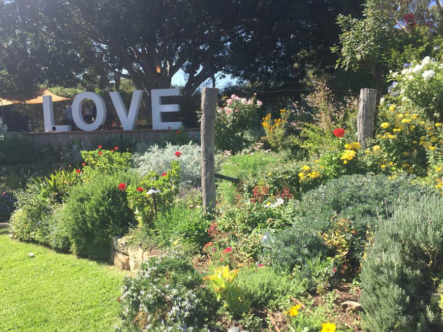 McLaren Vale: Small Group Wine Tour (Includes Lunch) - Lunch on a regional platter
