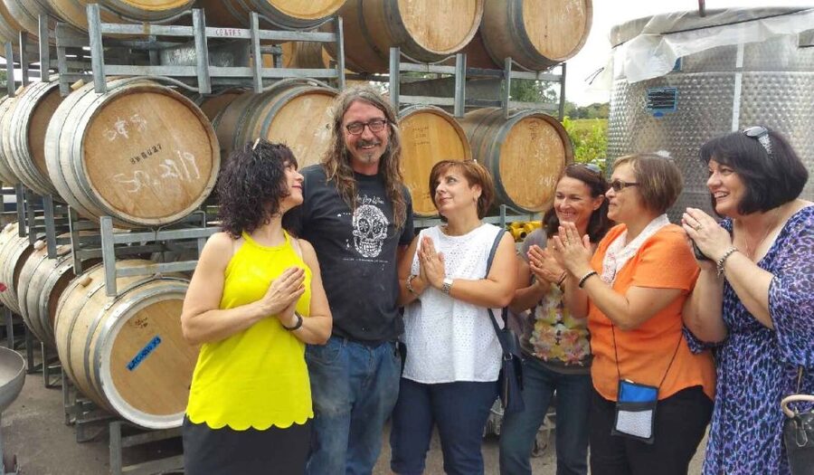 McLaren Vale: Small Group Wine Tour (Includes Lunch) - Afternoon tastings, gin, and brewery options
