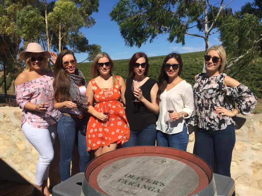 McLaren Vale: Small Group Wine Tour (Includes Lunch) - Price, tasting fees, and the real value