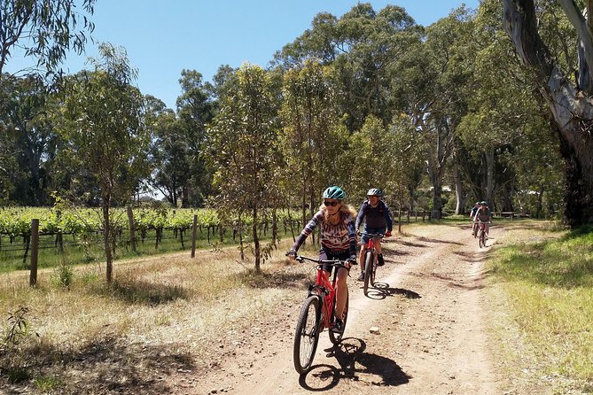 McLaren Vale Wine Tour by Bike - A farm-produce lunch, not just a sandwich