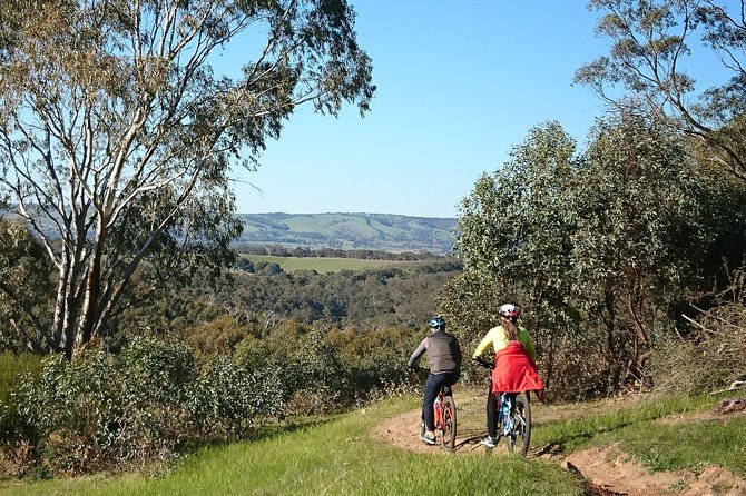 McLaren Vale Wine Tour by Bike - The final stop can include beer