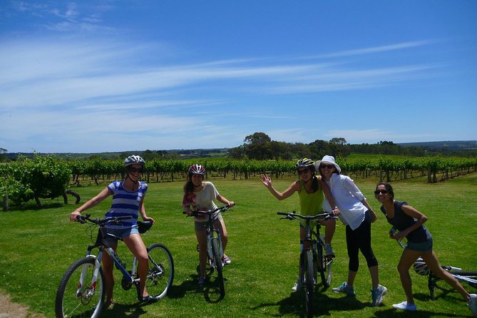 McLaren Vale Wine Tour by Bike - How fit do you need to be?