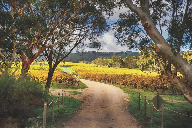 McLaren Vale Winery Small Group Tour with Wine Tasting and Lunch - The coastal ride sets the tone