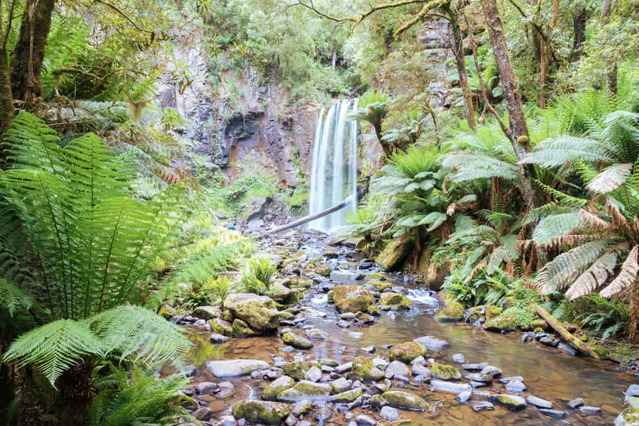Melbourne: 12 Apostles, Otways & Great Ocean Road Day Tour - A waterfall walk in Great Otways National Park