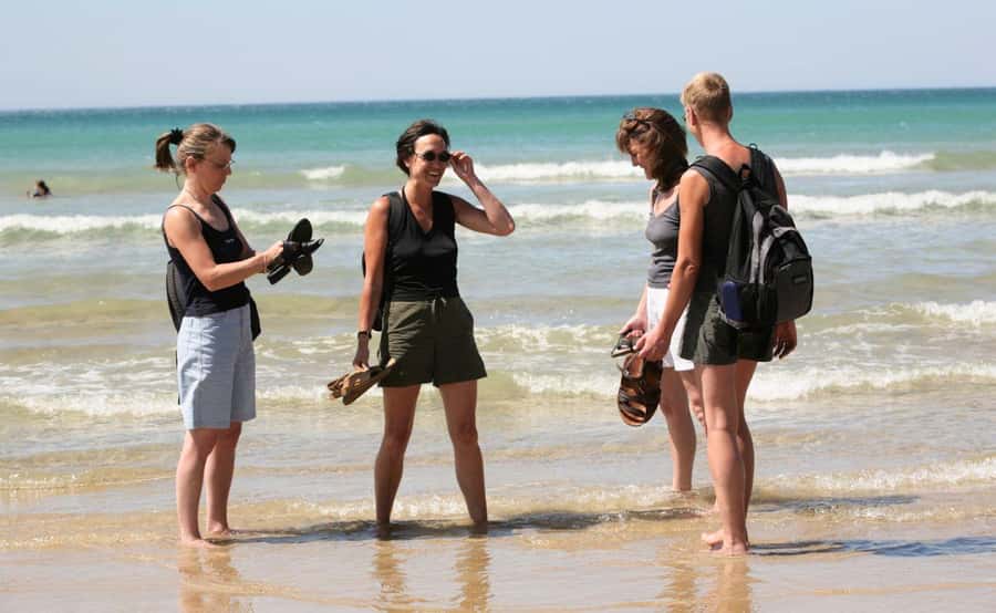 Melbourne: 12 Apostles Sunset Tour - Less Crowds - Kennett River and the search for koalas