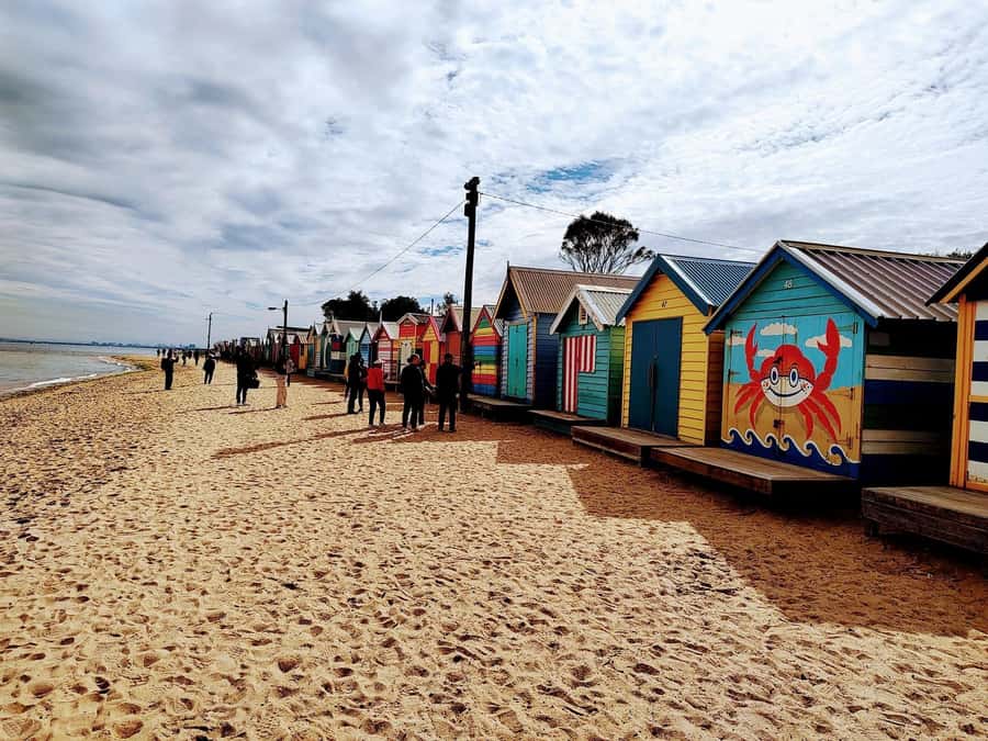Melbourne 3-Hour Small Group Tour with Beach Boxes - Why this three-hour route works as a first look
