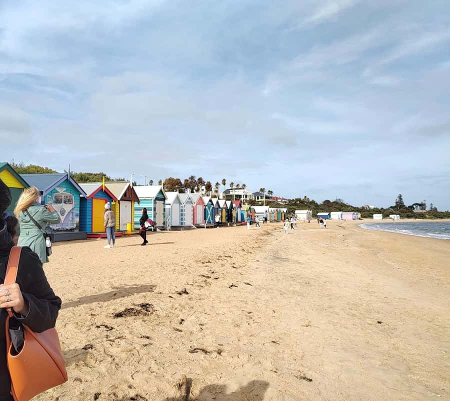 Melbourne 3-Hour Small Group Tour with Beach Boxes - Victorian cottages and contemporary street art