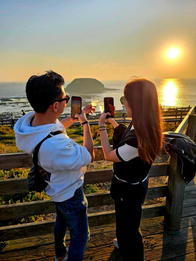 Melbourne: Boutique Phillip Island Wine, Dine & Penguin Tour - San Remo, the island gateway