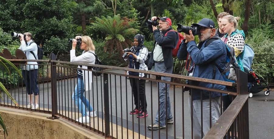 Melbourne City Surrounding Sightseeing Tour - The Botanic Gardens provide the tour’s best breathing space