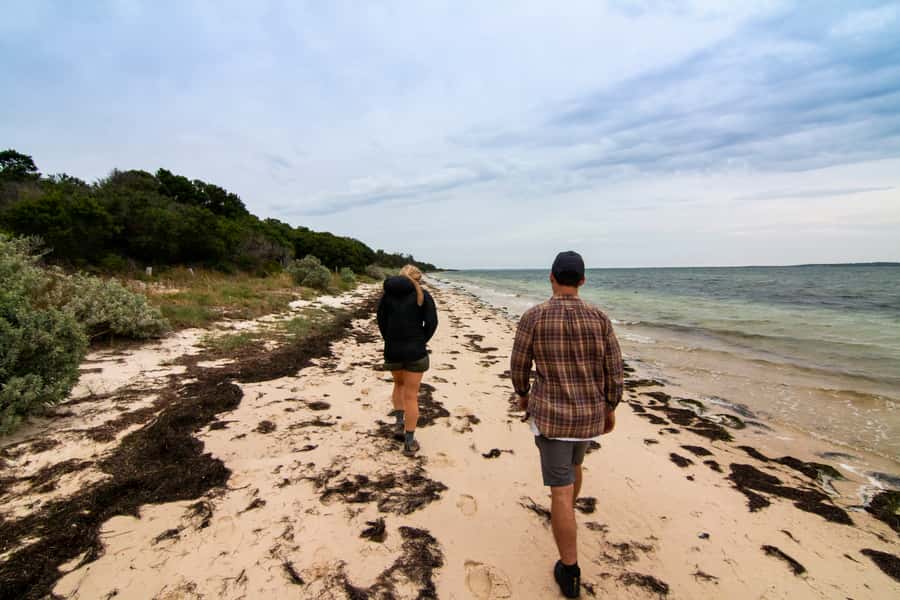 Melbourne: French and Phillip Island Wildlife Expedition - Who should book this French Island and Phillip Island day trip?