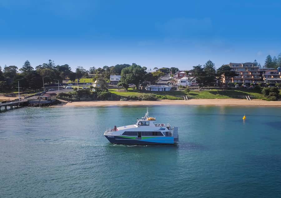 Melbourne: French and Phillip Island Wildlife Expedition - The 2.5-hour 4WD trip is the day’s most personal wildlife section