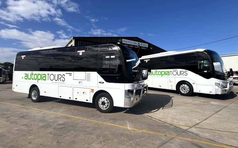 Melbourne: Great Ocean Road, 12 Apostles & Rainforest Tour - Great Otway National Park changes the mood