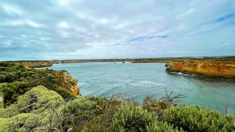 Melbourne: Great Ocean Road Adventure with Iconic Stops - The eucalyptus walk and possible koalas