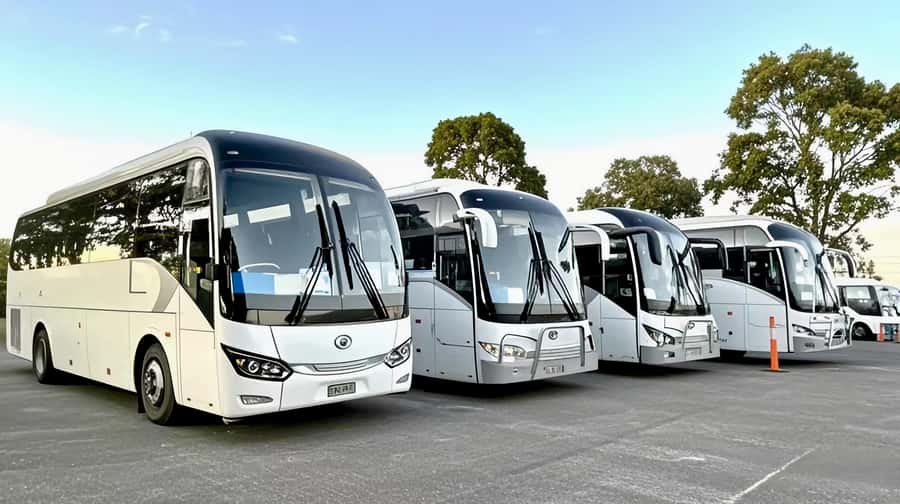 Melbourne Great Ocean Road Benz SmallGroup&LuxCoach BigGroup - Kennett River brings the best chance for native wildlife
