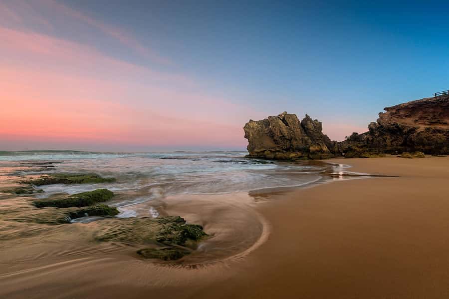 Melbourne: Great Ocean Road Day Tour with kangaroos & koalas - Key points to know before booking