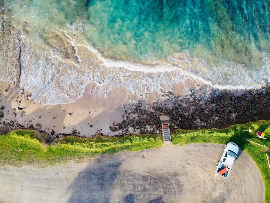 Melbourne: Great Ocean Road Extended–Top Stops&London Bridge - Looking for koalas near Barham River Road