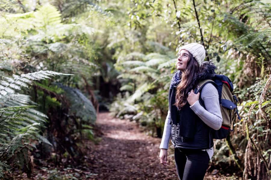 Melbourne: Great Ocean Road Ultimate 12 Apostles with Lunch - Great Otway National Park brings a welcome change