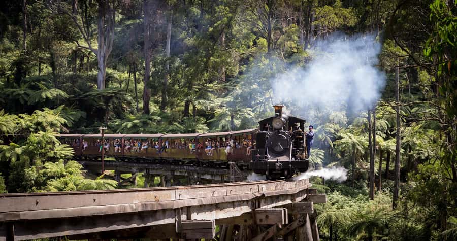 Melbourne: Half-Day Puffing Billy Steam Train Experience - What the $126 price really covers