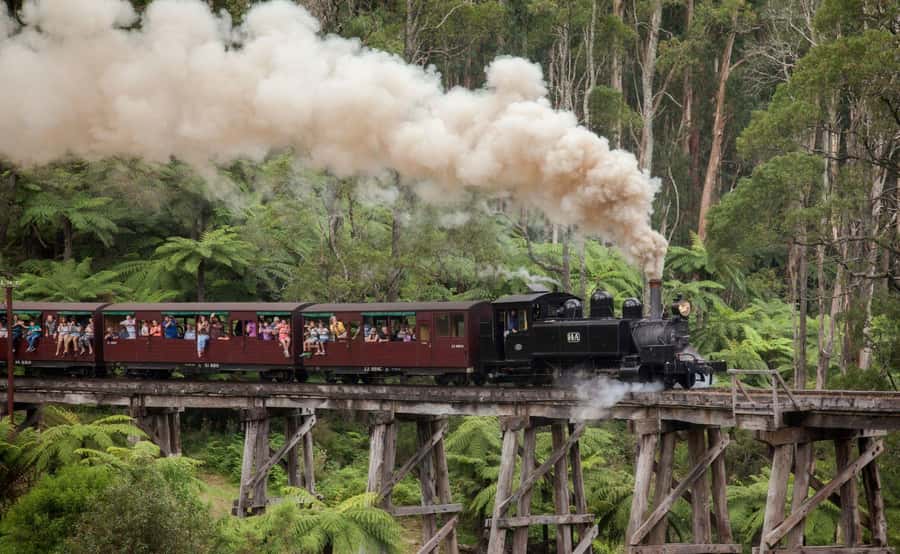 Melbourne: Half-Day Puffing Billy Steam Train Experience - Who should book this half-day trip