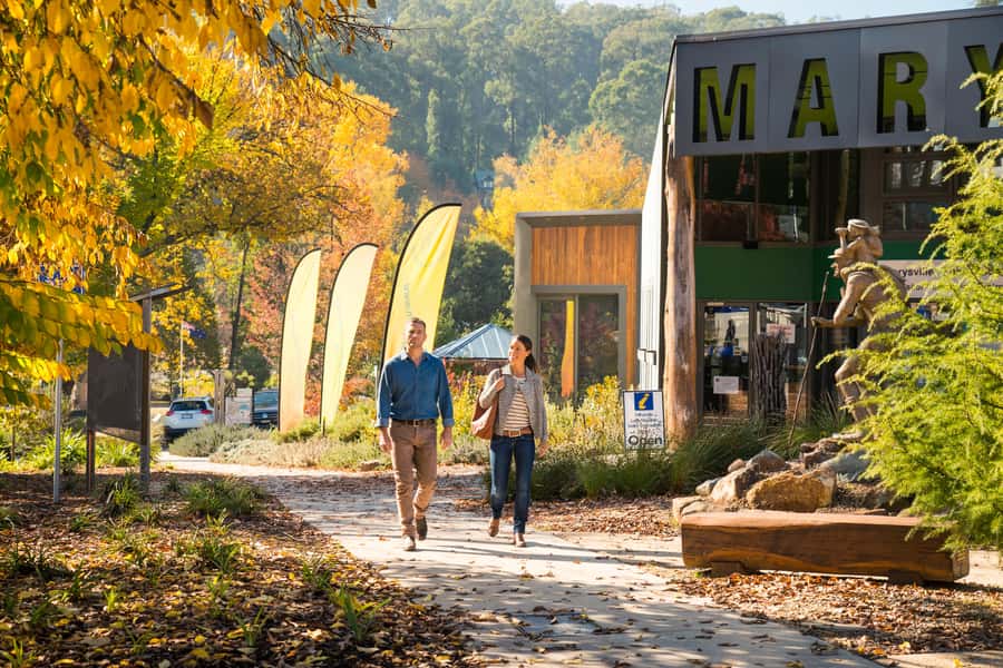 Melbourne: Lake Mountain Snow Day and Waterfalls & Chocolate - Healesville brings in the Yarra Valley