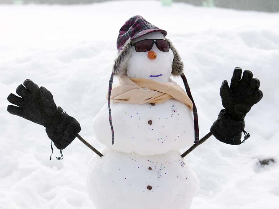 Melbourne: Lake Mountain Snow Guided Tour - Why Lake Mountain works for a first snow day