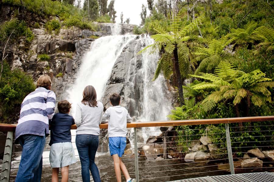 Melbourne: Lake Mountain Snow Guided Tour - Chocolate samples in the Yarra Valley
