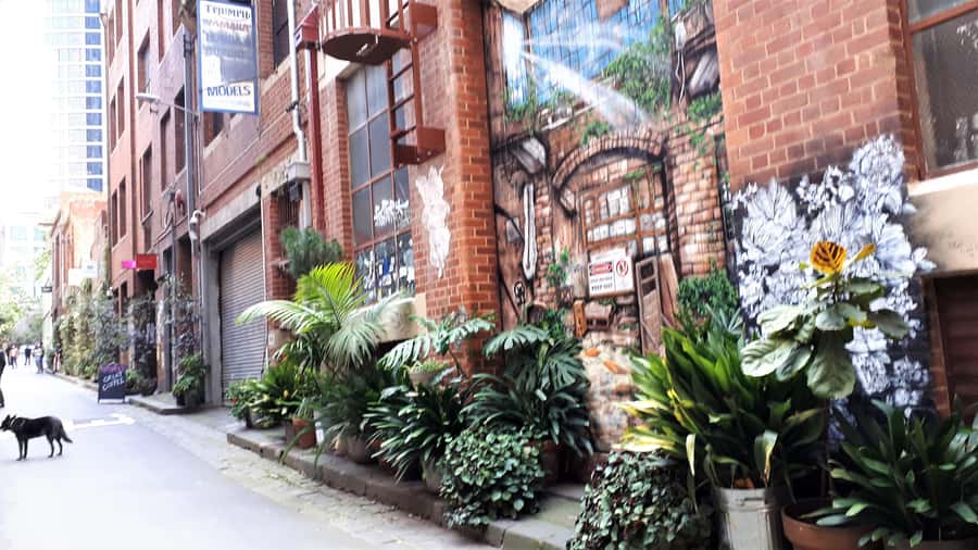 Melbourne Laneways Tour - Street art, arcades, and the details you might miss
