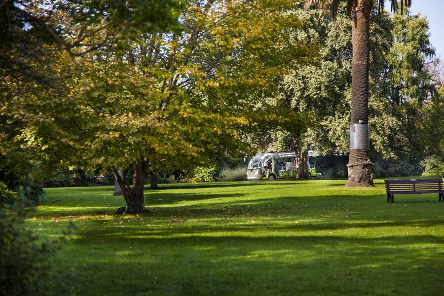 Melbourne: Melbourne Gardens Explorer Minibus Tour - Why the minibus makes sense in Melbourne Gardens