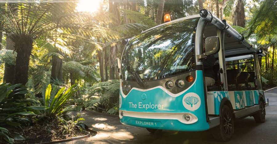 Melbourne: Melbourne Gardens Explorer Minibus Tour - Rolling lawns, old trees, and plant collections