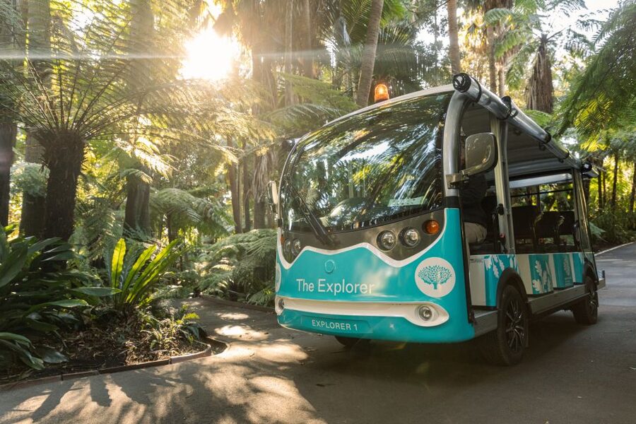Melbourne: Melbourne Gardens Explorer Minibus Tour - Who should book this tour