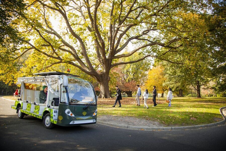 Melbourne: Melbourne Gardens Explorer Minibus Tour - Starting at the Visitor Centre and Oak Lawn